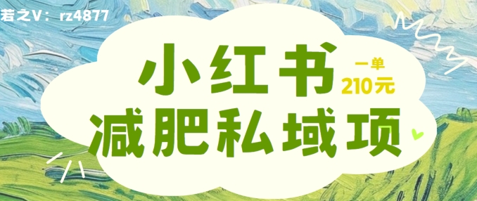 小红书减肥粉，私域变现项目，一单就达210元，小白也能轻松上手【揭秘】-HEIXMI（中国站）