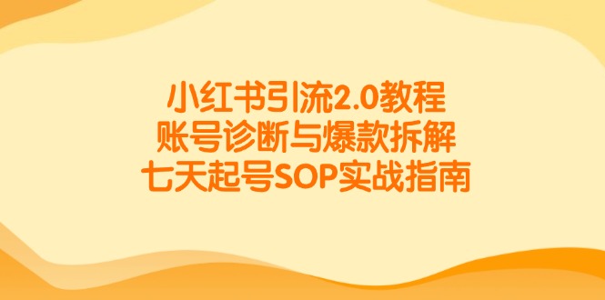 小红书引流2.0教程，账号诊断与爆款拆解，七天起号SOP实战指南 - HEIXMI（中国站）-HEIXMI（中国站）