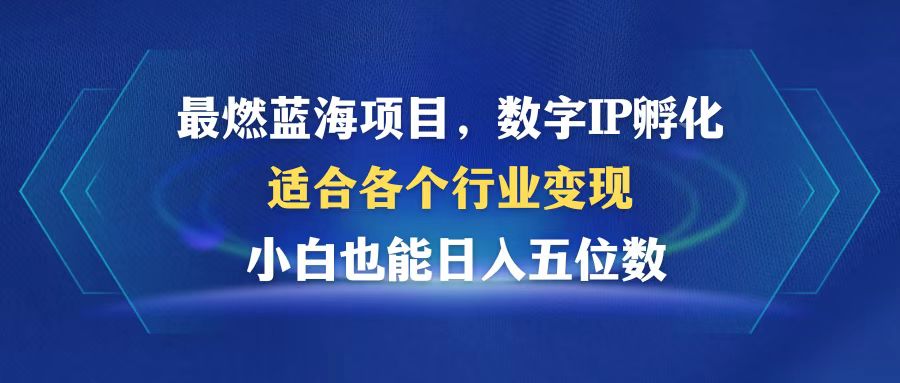最燃蓝海项目  数字IP孵化  适合各个行业变现  小白也能日入5位数-HEIXMI（中国站）