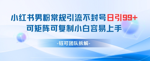 小红书男粉常规引流不封号日引99+变现简单 可矩阵可复制小白容易上手 - HEIXMI（中国站）-HEIXMI（中国站）