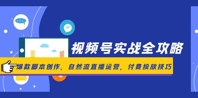 视频号实战全攻略，爆款脚本创作，自然流直播运营，付费投放技巧 - HEIXMI（中国站）-HEIXMI（中国站）