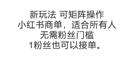 可矩阵操作，小红书商单新玩法，适合所有人，无需粉丝门槛，1粉丝也可以接单-HEIXMI（中国站）