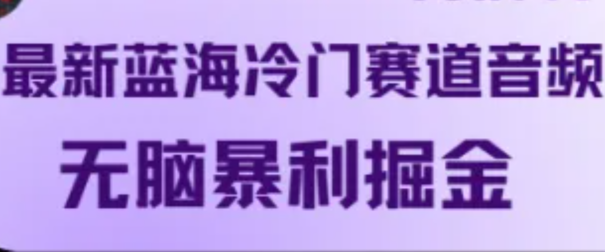 最新蓝海冷门赛道音频，无脑暴利掘金-HEIXMI（中国站）