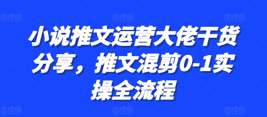 小说推文运营大佬干货分享，推文混剪0-1实操全流程-HEIXMI（中国站）