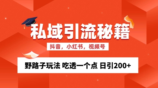 私域流量的精准化获客方法 野路子玩法 吃透一个点 日引200+ 【揭秘】-HEIXMI（中国站）