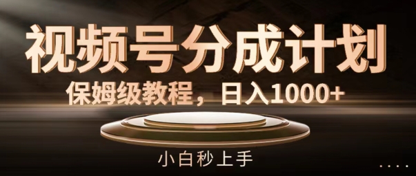 视频号分成计划保姆级教程，日入1K，小白秒上手【揭秘】-HEIXMI（中国站）