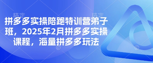 拼多多实操陪跑特训营弟子班，2025年2月拼多多实操课程，海量拼多多玩法-HEIXMI（中国站）