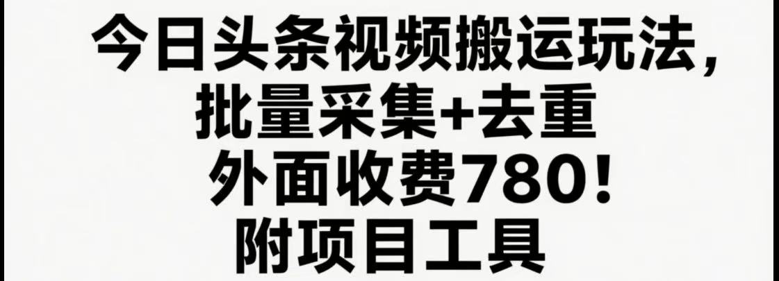 今日头条视频搬运玩法，软件一键去重，轻松日入500+附项目工具-HEIXMI（中国站）