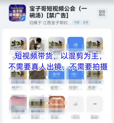 宝子哥头部团队短视频带货，以混剪为主，不需要真人出镜，不需要拍摄【更新】 - HEIXMI（中国站）-HEIXMI（中国站）