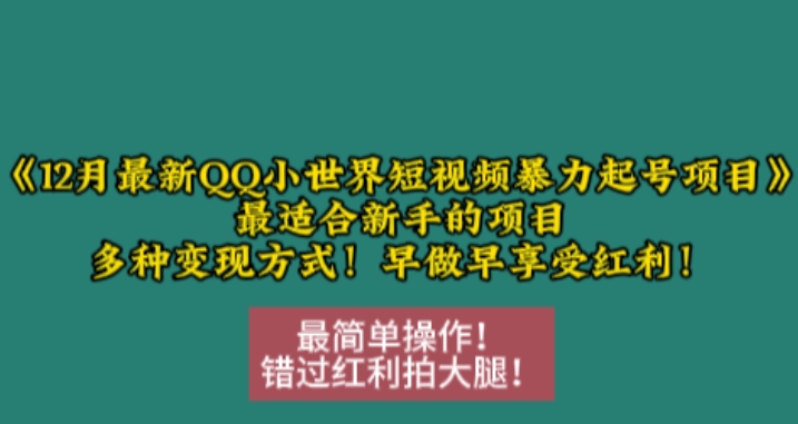 12月最新QQ小世界短视频暴力起号项目，最适合新手的项目，多种变现方式-HEIXMI（中国站）