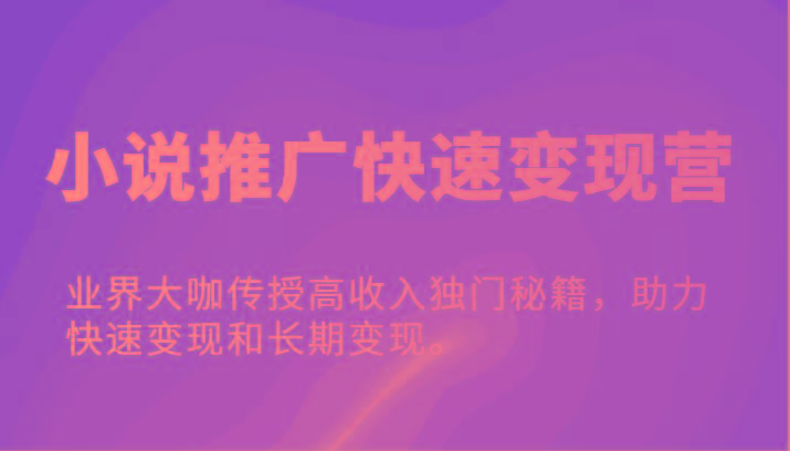 小说推广快速变现营-业界大咖传授高收入独门秘籍，助力快速变现和长期变现。-HEIXMI（中国站）