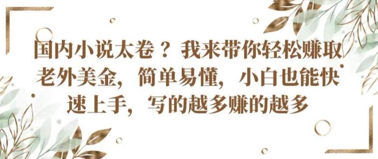 国内小说太卷 ?带你轻松赚取老外美金，简单易懂，小白也能快速上手，写的越多赚的越多【揭秘】-HEIXMI（中国站）