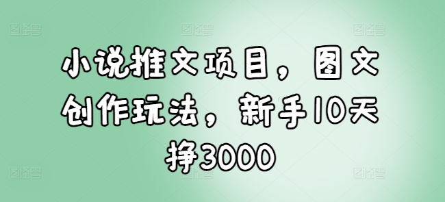 小说推文项目，图文创作玩法，新手10天挣3000-HEIXMI（中国站）