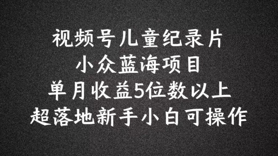 2024蓝海项目视频号儿童纪录片科普，单月收益5位数以上，新手小白可操作【揭秘】-HEIXMI（中国站）