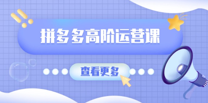 拼多多高阶运营课：极致群爆款玩法，轻付费无尽复制，打造单品爆款之路-HEIXMI（中国站）
