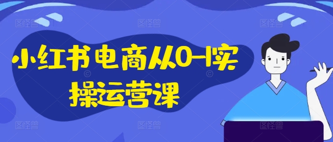 小红书电商从0-1实操运营课，小红书手机实操小红书/IP和私域课/小红书电商电脑实操板块等-HEIXMI（中国站）