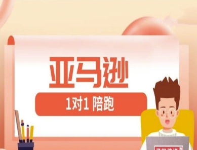 亚马逊1对1陪跑课(FBA/FBM精铺)跨境亚马逊教程-HEIXMI（中国站）