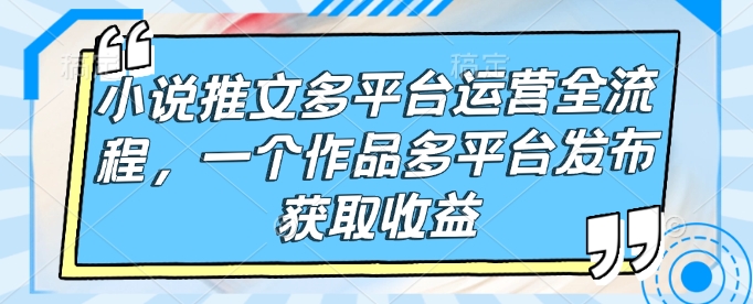 小说推文多平台运营全流程，一个作品多平台发布获取收益-HEIXMI（中国站）