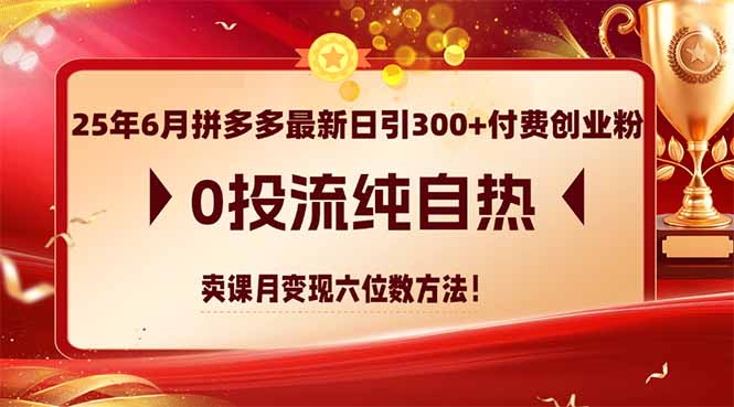 25年6月拼多多最新日引300+付费创业粉，0投流纯自热 卖课月变现六位数方法 - HEIXMI（中国站）-HEIXMI（中国站）