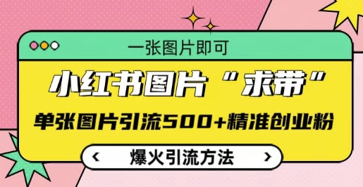 小红书图片‘求带’爆火引流法，单张图片引流500+精准创业粉【揭秘】-HEIXMI（中国站）