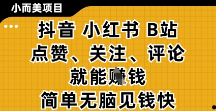 小而美的项目，抖音小红书B站视频点赞、关注、评论就能挣钱，简单无脑立见收益，妥妥的零撸项目【揭秘】-HEIXMI（中国站）