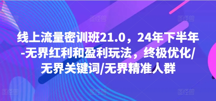 线上流量密训班21.0，24年下半年-无界红利和盈利玩法，终极优化/无界关键词/无界精准人群-HEIXMI（中国站）