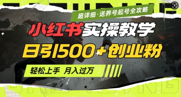 2月小红书最新日引500+创业粉实操教学【超详细】小白轻松上手，月入1W+，附小红书养号起号SOP-HEIXMI（中国站）