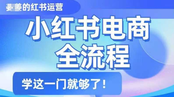 小红书电商全流程，精简易懂，从入门到精通，学这一门就够了-HEIXMI（中国站）
