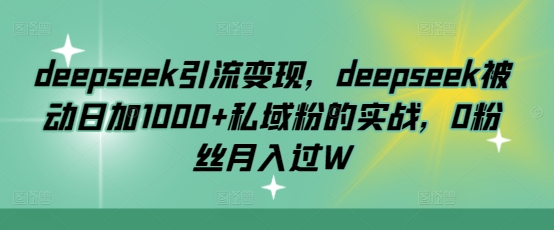 deepseek引流变现，deepseek被动日加1000+私域粉的实战，0粉丝月入过W-HEIXMI（中国站）