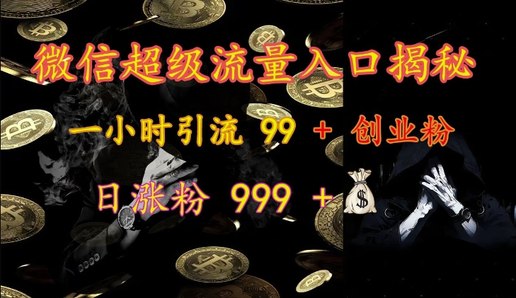 微信超级流量入口揭秘：一小时引流 99 + 创业粉，日涨粉 999 +-HEIXMI（中国站）