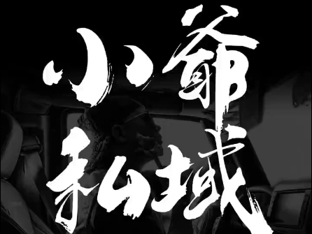 小爷·私域项目操盘手-HEIXMI（中国站）