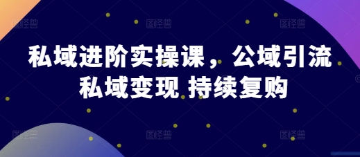 私域进阶实操课，公域引流 私域变现 持续复购-HEIXMI（中国站）