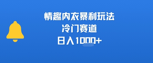 情趣内衣暴利玩法，冷门赛道，日入1k+-HEIXMI（中国站）