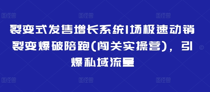 裂变式发售增长系统1场极速动销裂变爆破陪跑(闯关实操营)，引爆私域流量-HEIXMI（中国站）