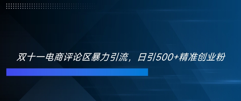 双十一电商评论区暴力引流，日引500+精准创业粉【揭秘】-HEIXMI（中国站）