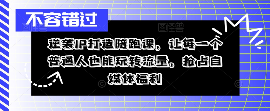 逆袭IP打造陪跑课，让每一个普通人也能玩转流量，抢占自媒体福利-HEIXMI（中国站）