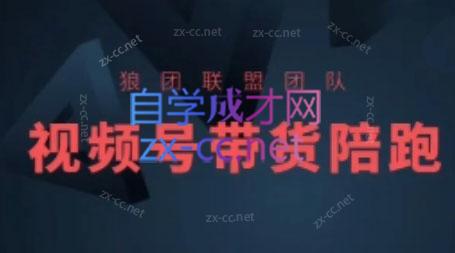 狼团联盟·2024视频号带货-HEIXMI（中国站）