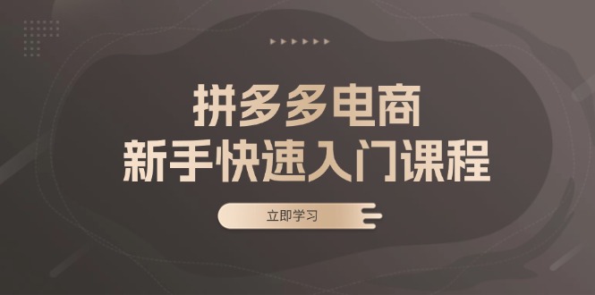 拼多多电商新手快速入门课程：涵盖基础、实战与选款，助力小白轻松上手-HEIXMI（中国站）