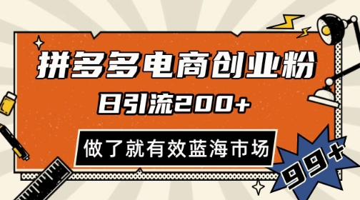 拼多多引流电商创业粉，日引200+，可矩阵放大，做了就有效【揭秘】 - HEIXMI（中国站）-HEIXMI（中国站）