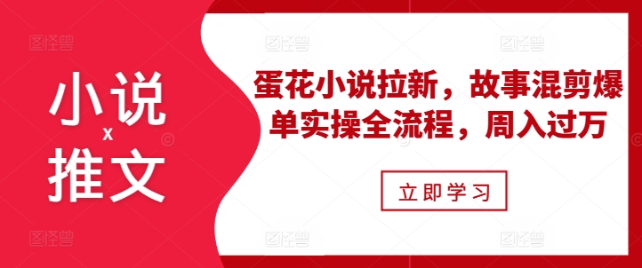 小说推文之蛋花小说拉新，故事混剪爆单实操全流程，周入过万-HEIXMI（中国站）