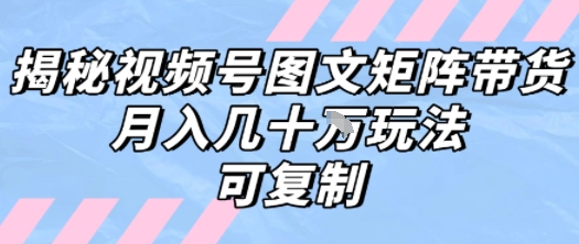 解密视频号图文矩阵带货，月入几个W的打法，可复制-HEIXMI（中国站）