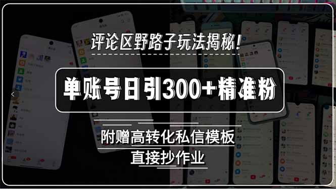 评论区野路子玩法揭秘！单账号日引300+精准粉，附赠高转化私信模板，直…-HEIXMI（中国站）