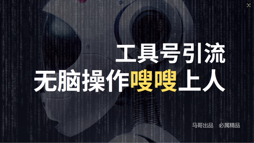 24年抖音最新工具号日引流300+创业粉，日入5000+-HEIXMI（中国站）