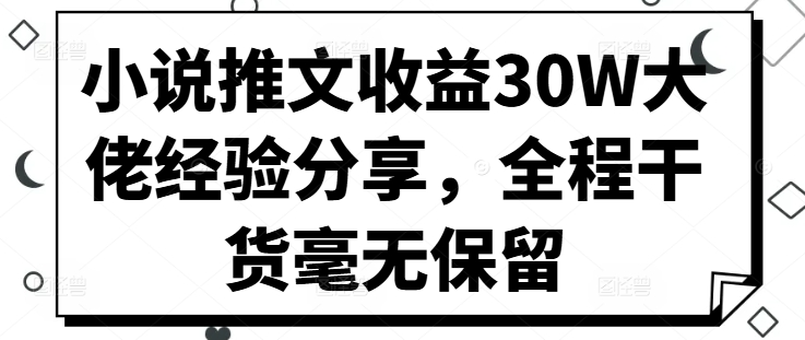 小说推文收益30W大佬经验分享，全程干货毫无保留-HEIXMI（中国站）
