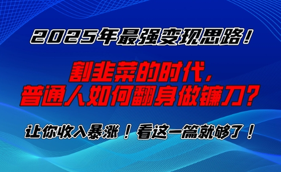 2025年最强变现思路，割韭菜的时代， 普通人如何翻身做镰刀？【揭秘】-HEIXMI（中国站）