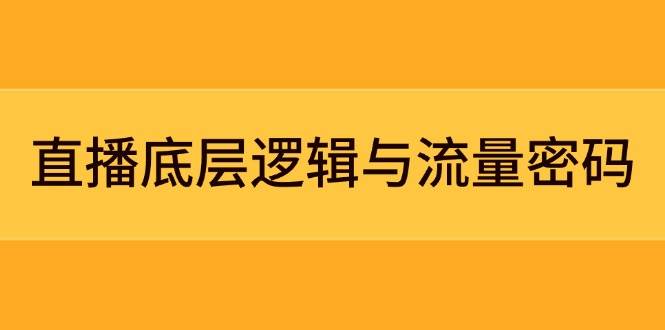 直播底层逻辑与流量密码：定位模型+案例拆解，急速流承接与数据优化全攻略 - HEIXMI（中国站）-HEIXMI（中国站）