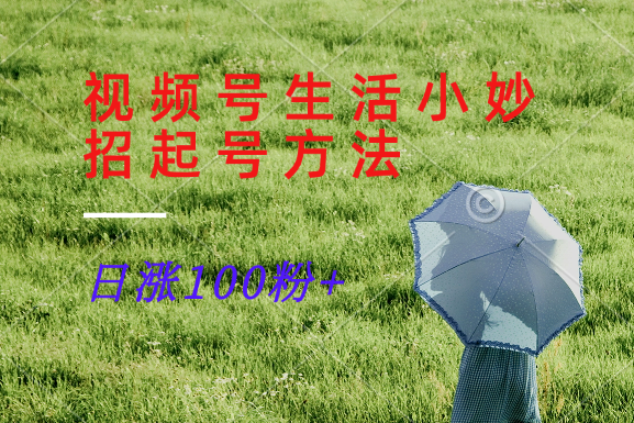 视频号生活小妙招分享赛道， 起号涨粉新方法，日涨100粉-HEIXMI（中国站）