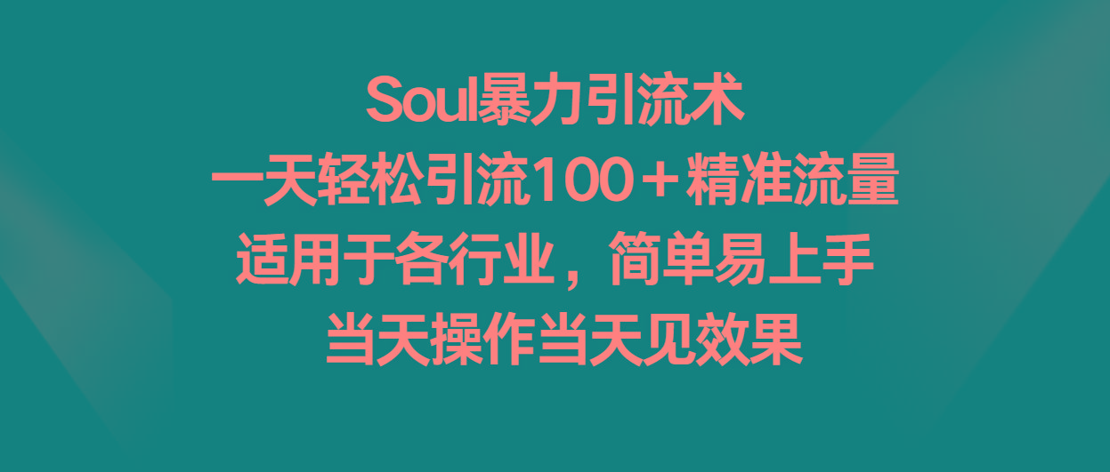 Soul暴力引流术，一天轻松引流100＋精准流量，适用于各行业，简单易上手！-HEIXMI（中国站）