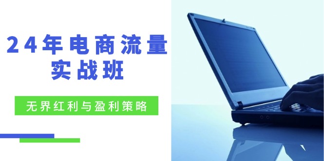 24年电商流量实战班：无界 红利与盈利策略，终极提升/关键词优化/精准…-HEIXMI（中国站）