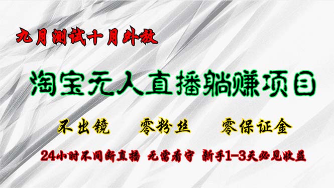 淘宝无人直播最新玩法，九月测试十月外放，不出镜零粉丝零保证金，24小…-HEIXMI（中国站）